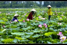 DISCOVER SOUTH OF VIETNAM IN 4 DAYS 3 NIGHTS (GROUP TOUR)